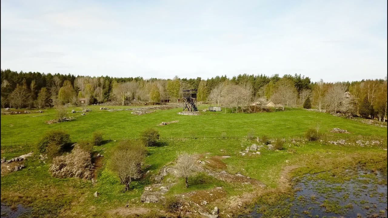 Vacker vy över Målsjöns fågeltorn