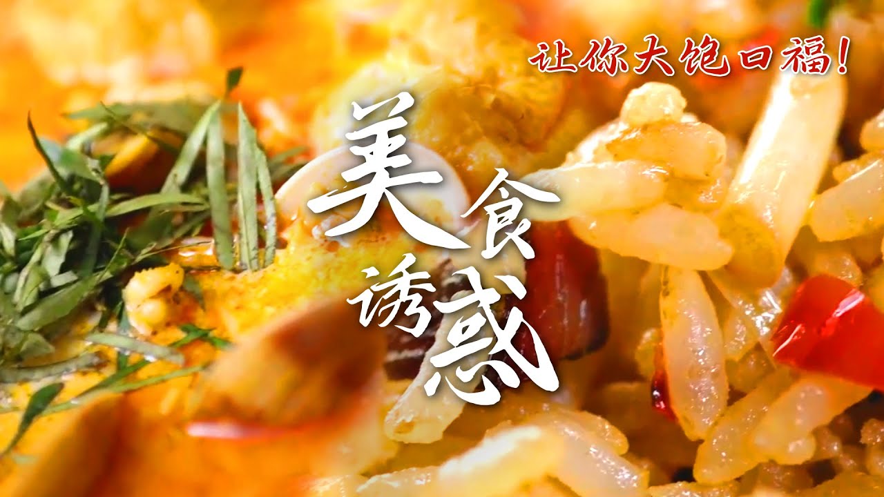 美食诱惑🥰：让味蕾沉醉的绝妙滋味！一汤十变，让你大饱口福💖 | 腾讯视频 - 纪录片