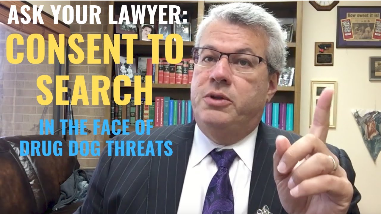 Consent to Search & Drug Dogs | 