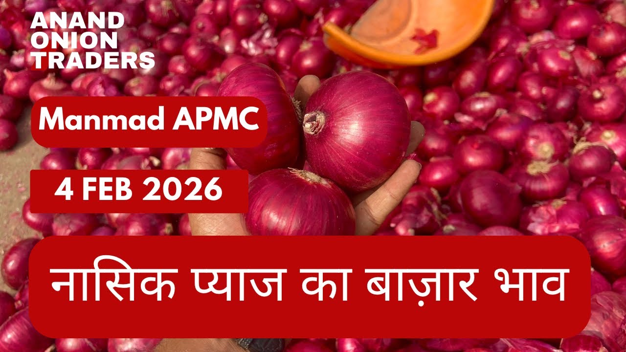 Nashik Onion Market Today 🔴 | Red Onion Price Today | APMC Bhav 4 February 2026