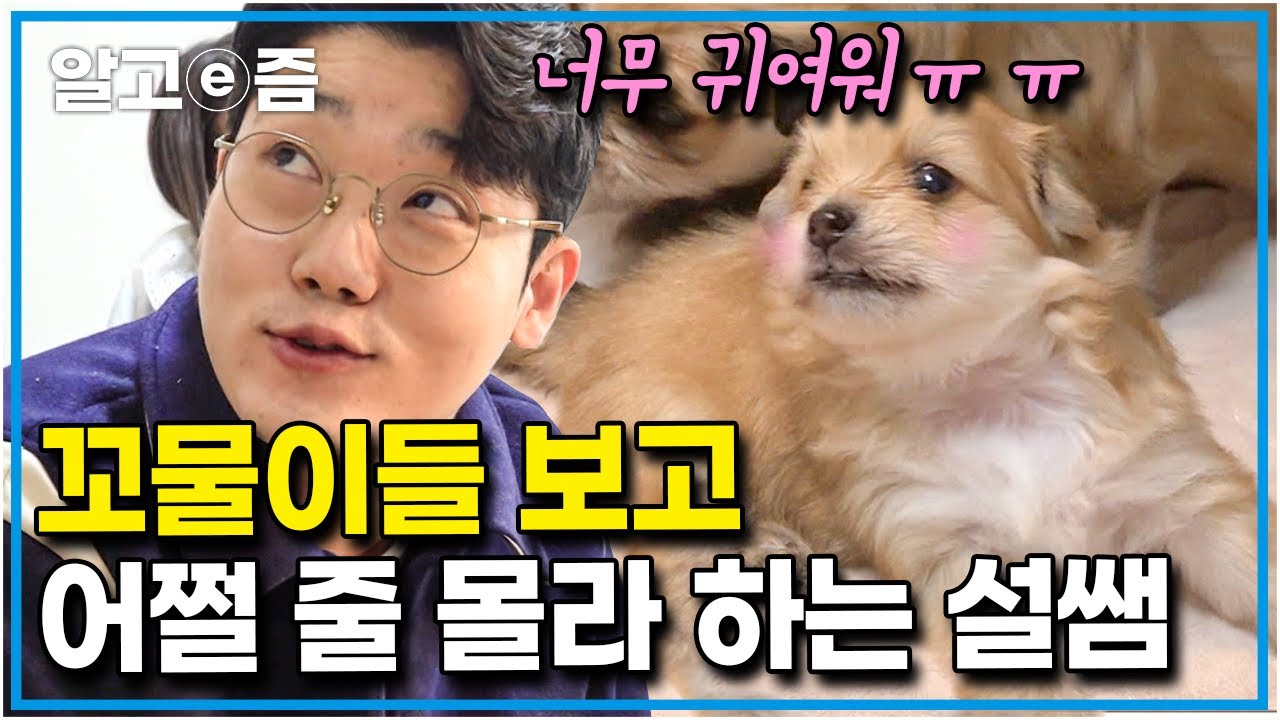 “아~ 어떡하지~”새끼 강아지들을 보자마자 첫눈에 반해 눈을 못 떼는 설쌤! 새끼들을 키울 때 꼭 명심해야 하는 팁 대공개 │세상에 나쁜 개는 없다│알고e즘
