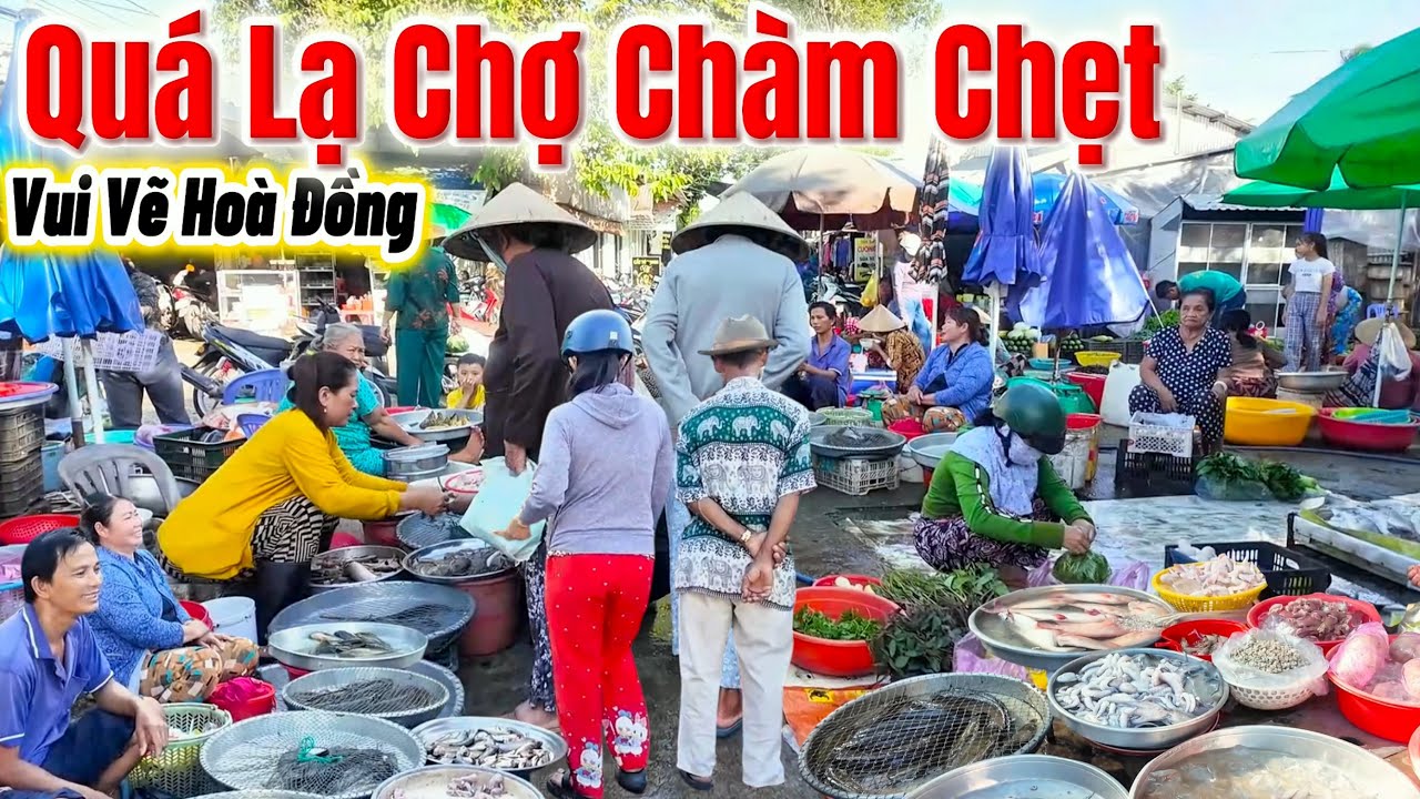 Độc Lạ Ngôi Chợ Trong Vùng Quê Chuyên Rất Nhiều Món Đồng, Chợ Chàm Chẹt, Kiên Giang 