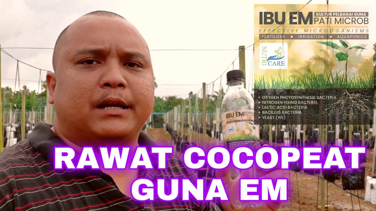 Rawat Cocopeat Atau Media Tanaman Lain Guna EM