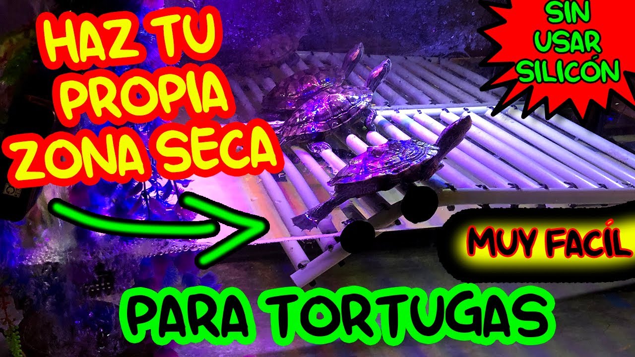 ZONA SECA PARA TORTUGAS CASERA 🐢│❤️️ FÁCIL, ECONÓMICA Y BONITA ⚡️