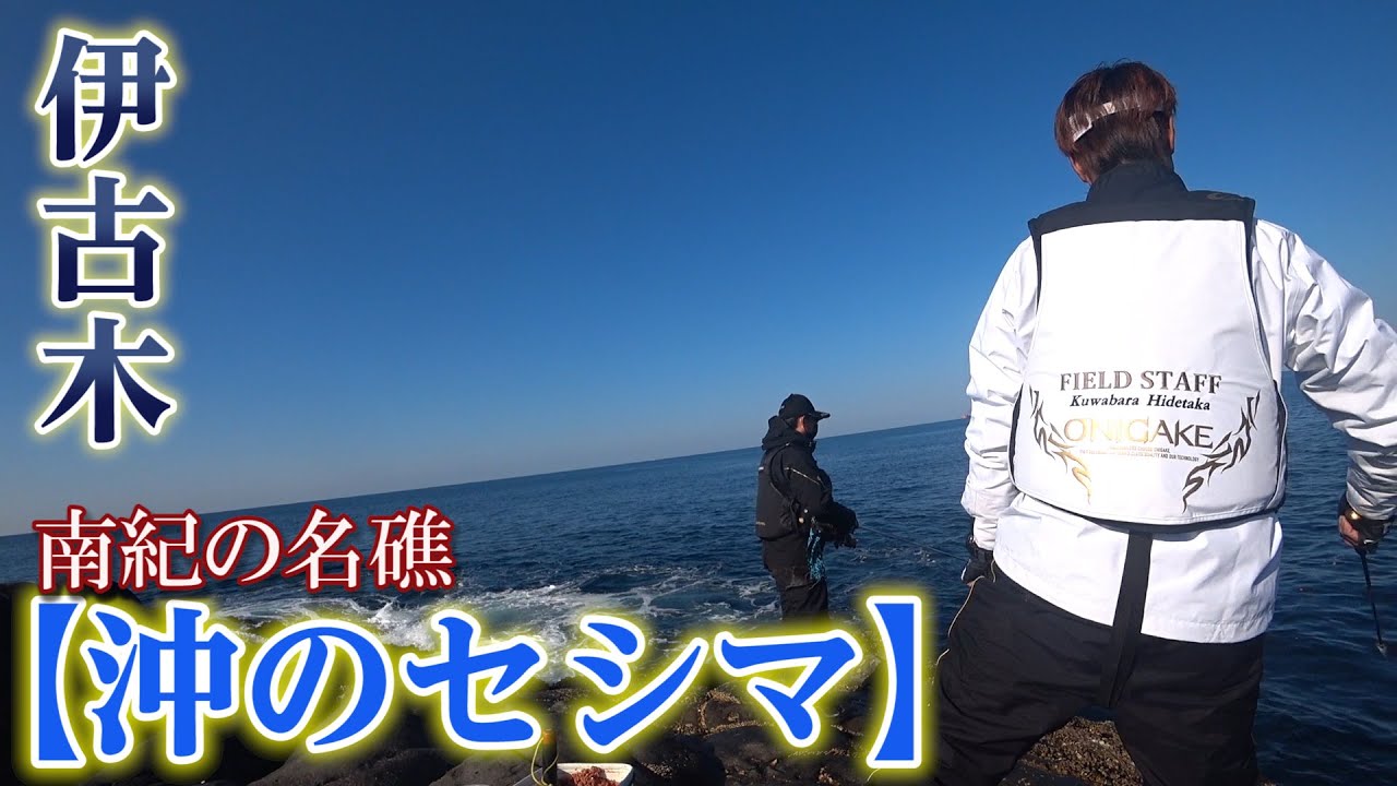 グレの魚影がヤバい！伊古木「セシマ」はやっぱり南紀の名礁だった（再アップ）