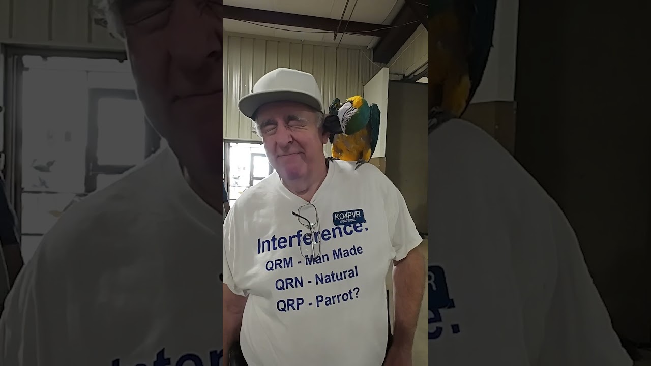 Peanut the QRP Parrot 