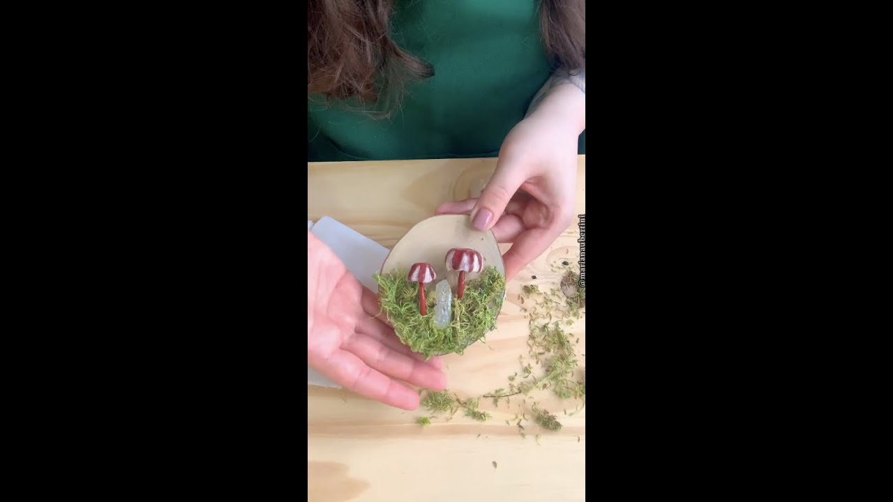 BISCUIT - 🍄☔️ Cogumelo “Marasmius haematocephalus” | Mariana Ubertini