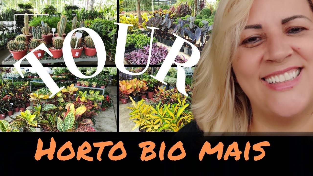 Horto lindo - bom preço e cheio de novidades - BIO MAIS - fiz um tour para vocês conhecerem