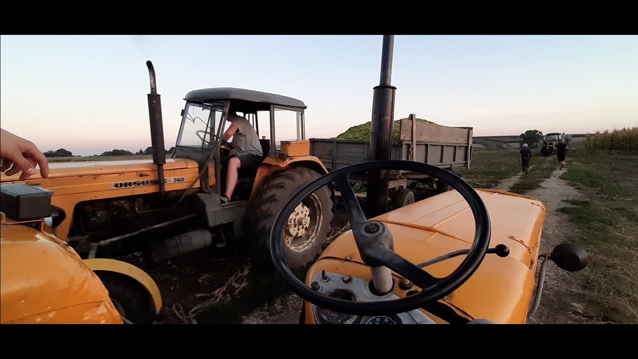 Kukurydza na Kiszonkę 2020 W Polskim Stylu 4xUrsus c-360&Claas Jaguar 685