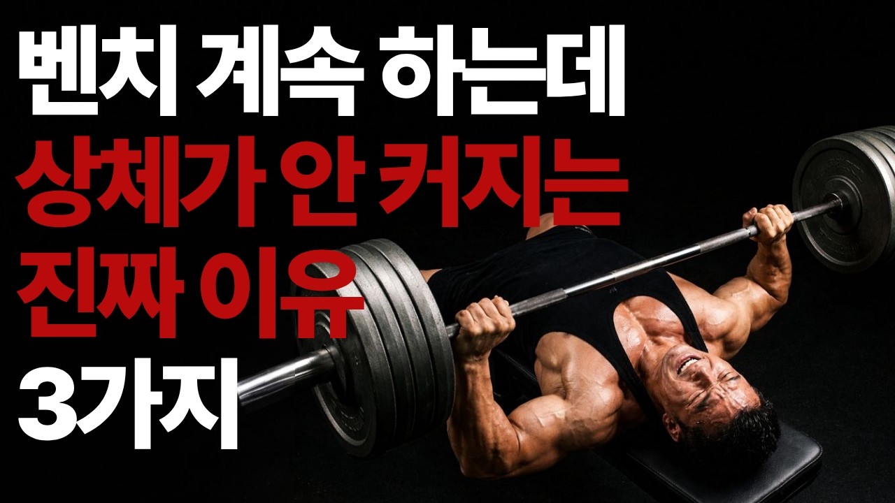 상체프레임 완성루틴ㅣ 벤치프레스 구멍 3가지