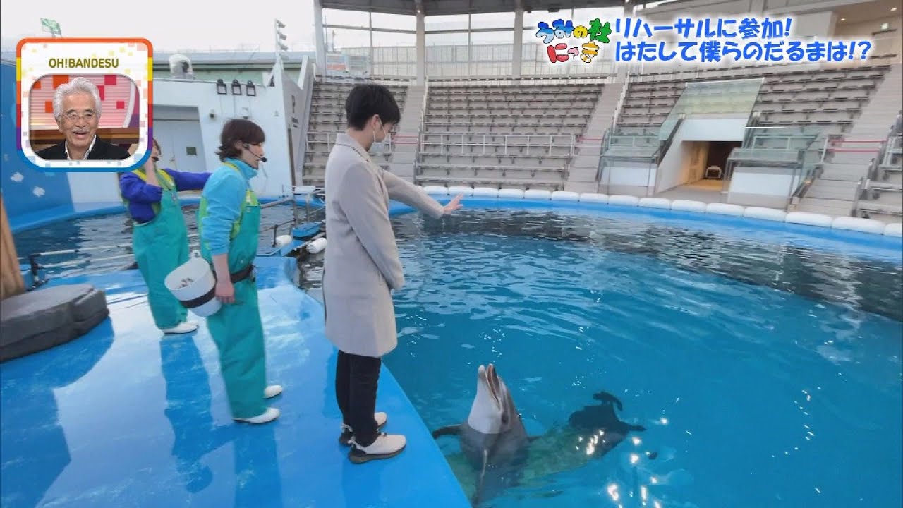 【うみの杜にっき】岡崎特命飼育員にもお年玉♪だるまづくりに悪戦苦闘も...最後はイルカショーのお手伝い!?【ミヤテレ】