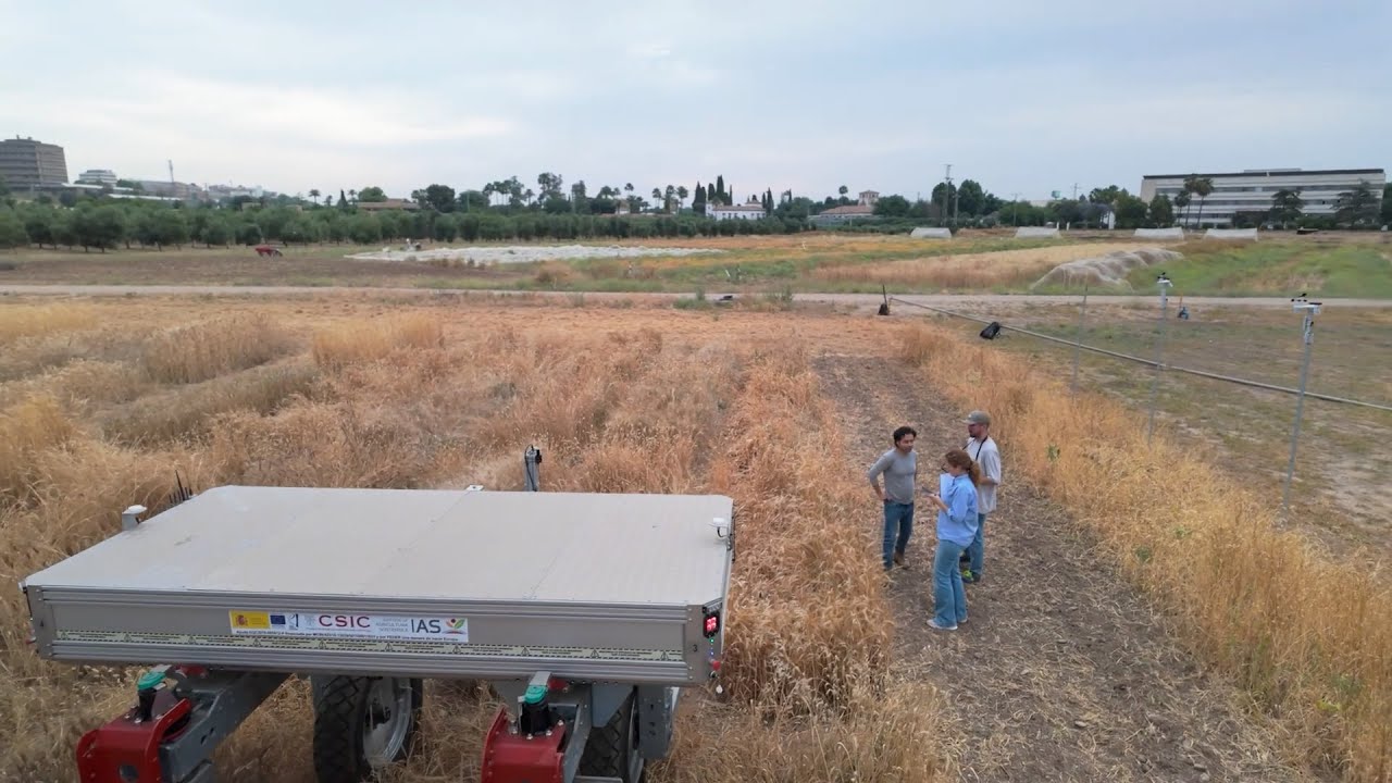 DIRECTO AL GRANO 11X20