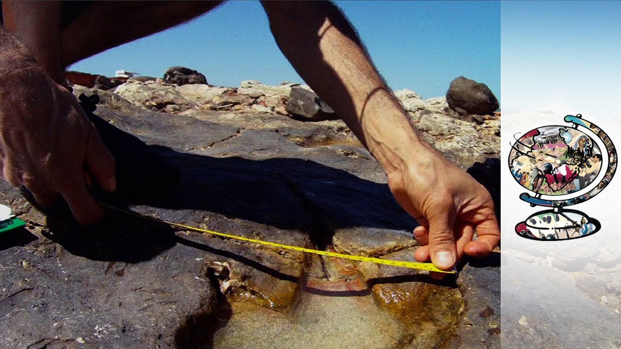Dinosaur Prints In Western Australia Under Threat