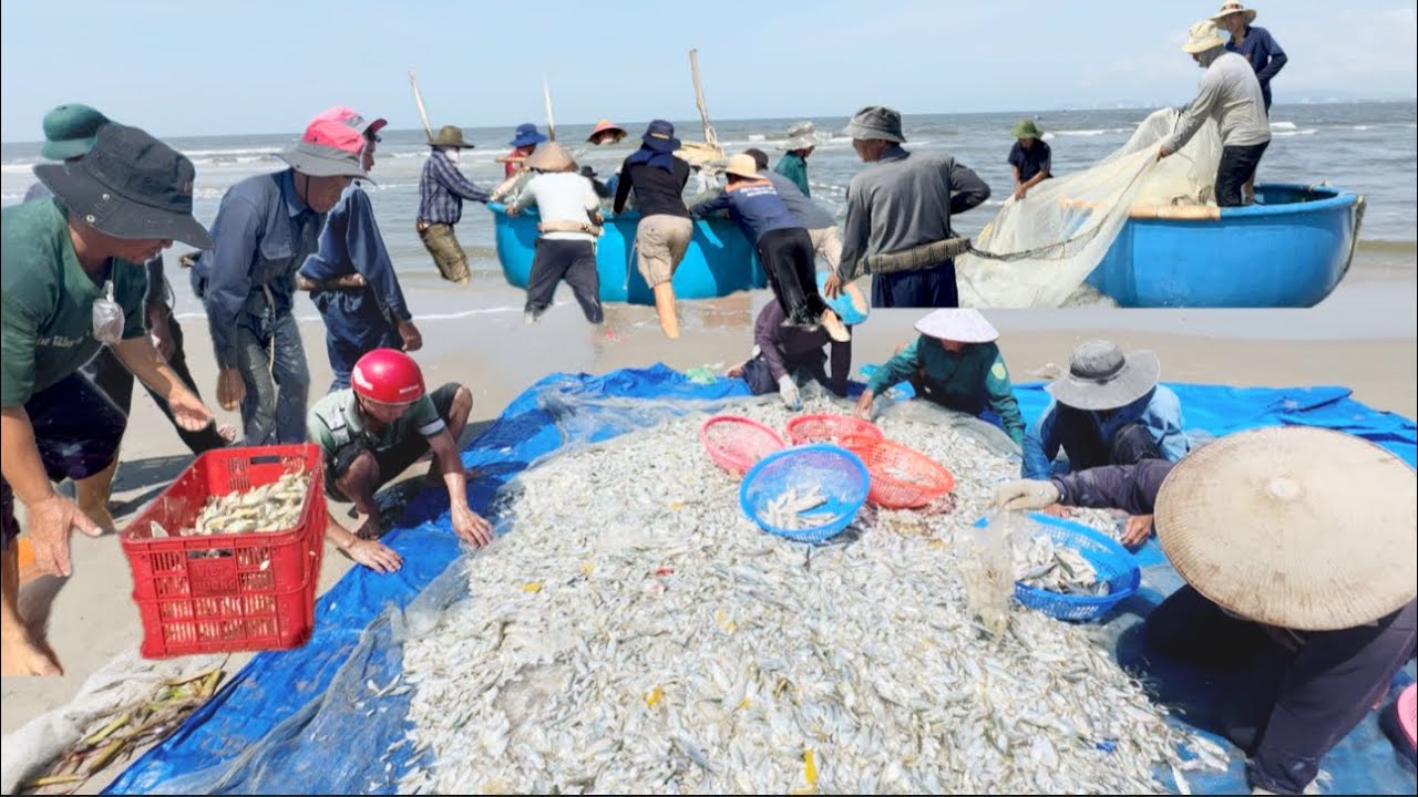 BIỂN LONG HẢI KÉO LƯỚI RÙNG TRÚNG HÀNG TẤN CÁ ĐÙ 