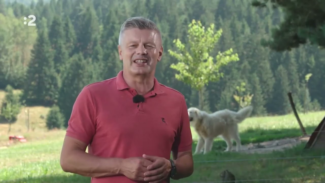 Farmárska revue - Chov Oviec, Čistokrvný a Krížený Psy, Mladé Farmárky