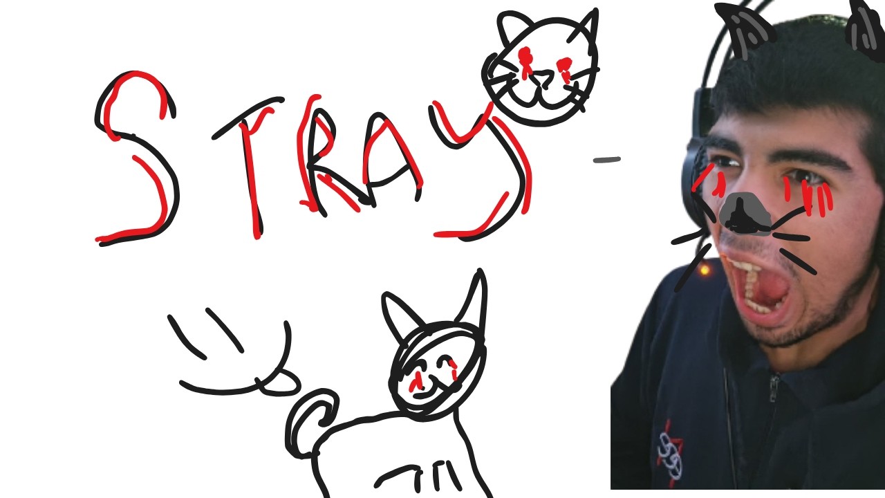 jugando a que soy un gato #stray