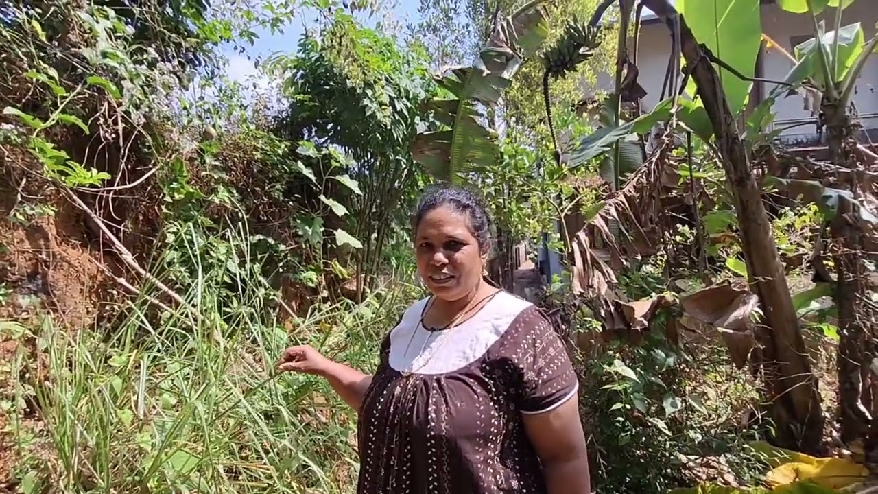 ചെറിയ ചെറിയ പണികൾ 