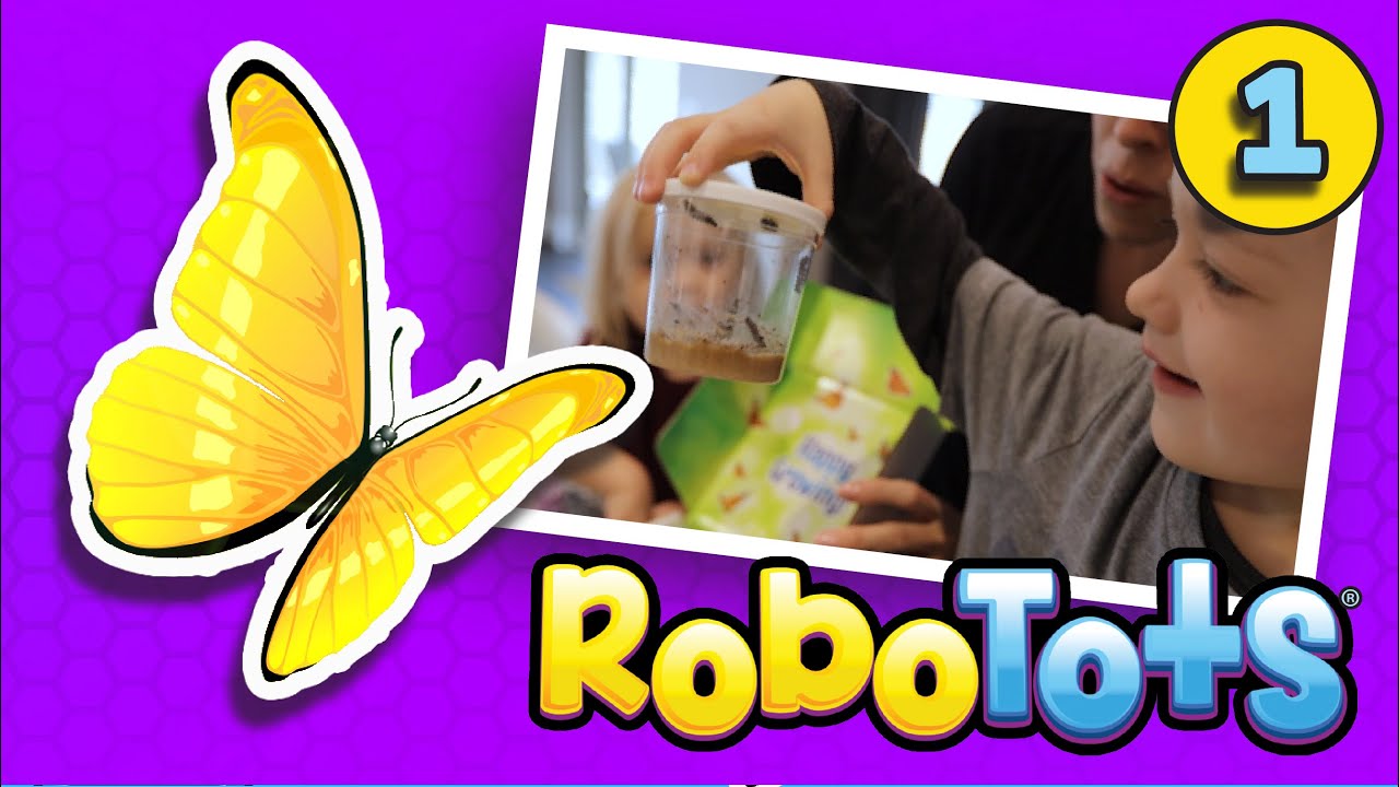 How to GROW Butterflies! Watch the unboxing of LIVE Caterpillars: Part 1