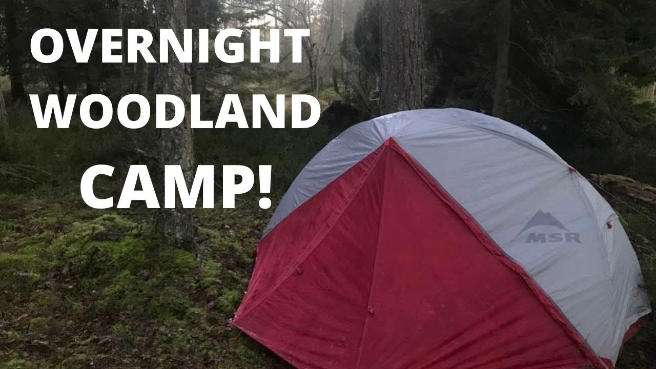 Winter Camp In A Forest | MSR Elixir 1 Camp!