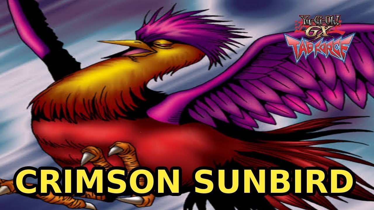 Yugioh GX Tag Force 1 : Crimson Sunbird