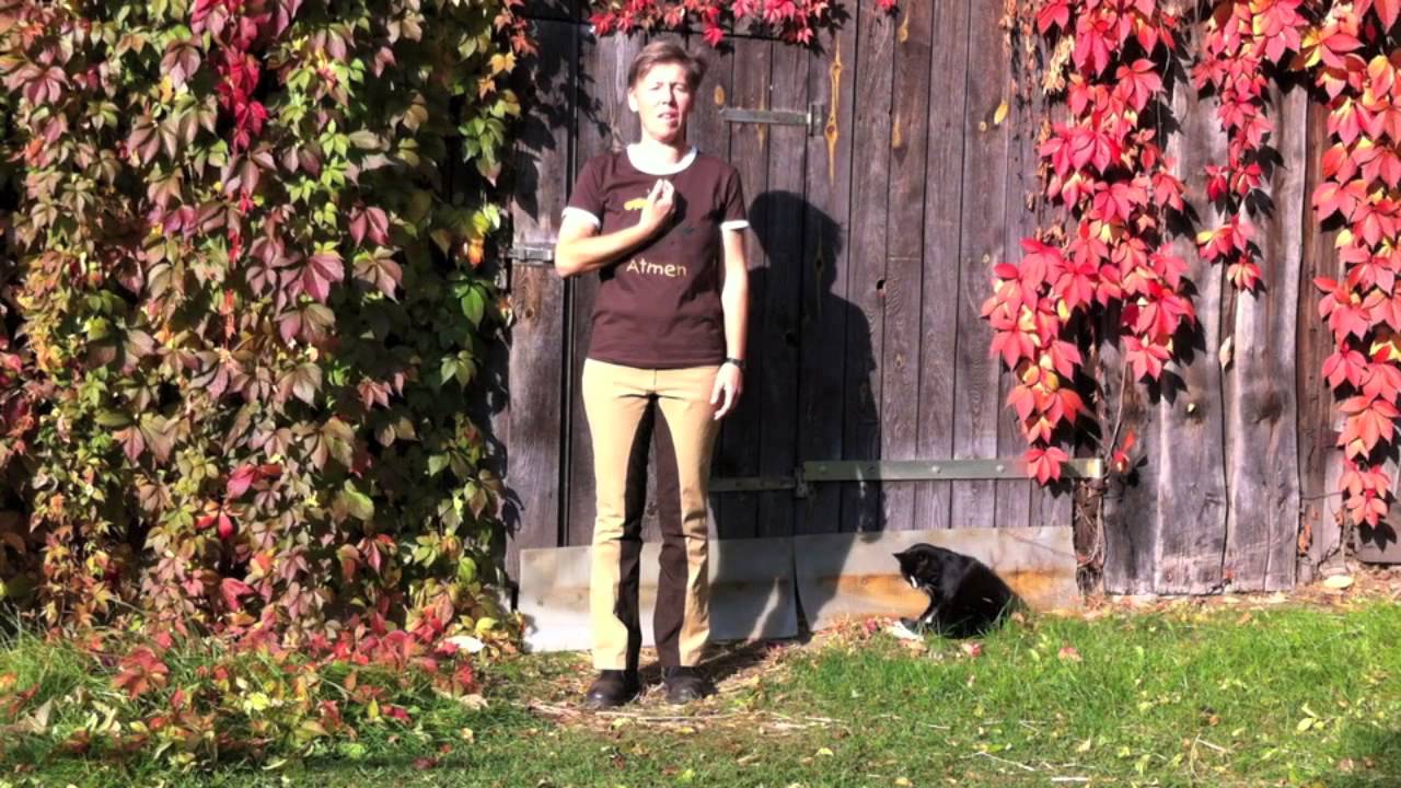 Stephanie Hornung - Schulterkranich für einen elastischen Zügelkontakt
