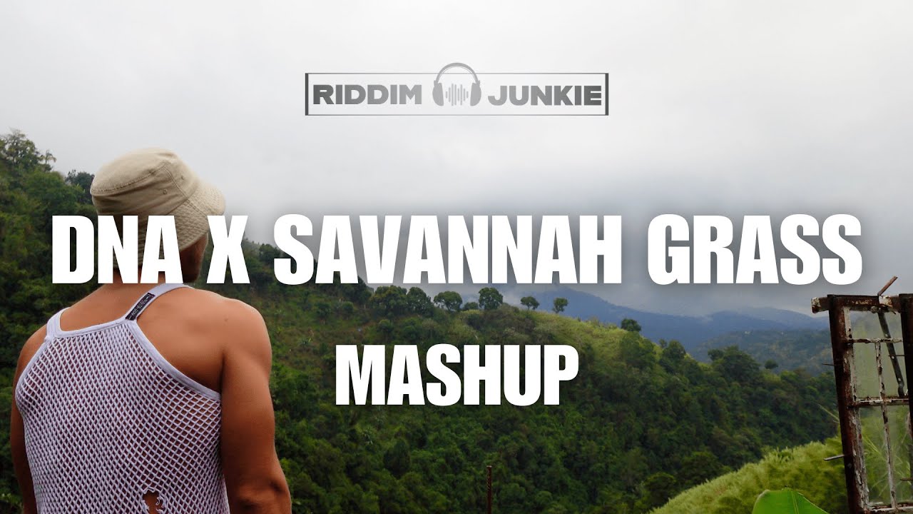 DNA x Savannah Grass - Mical Teja x Kes (Mashup)