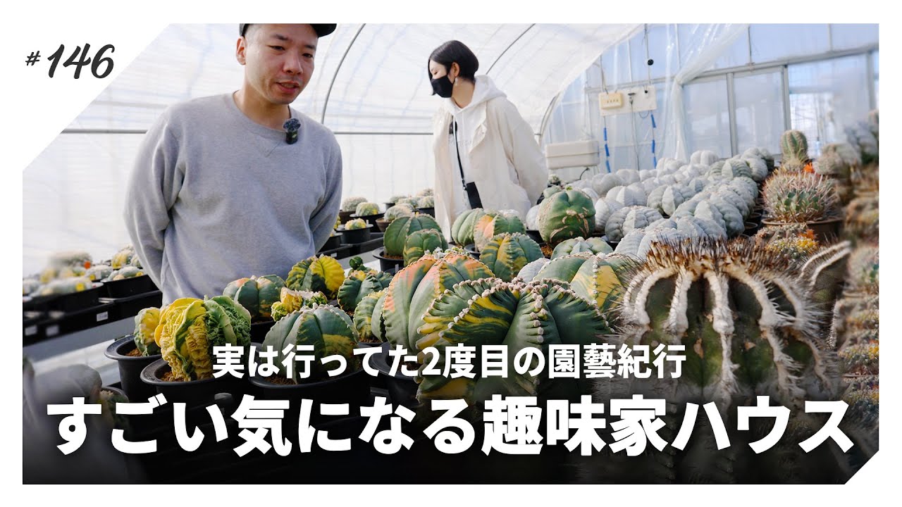 【塊根植物/サボテン】何から何まで圧巻の趣味家ハウスへりとまんさんと行ってきた。