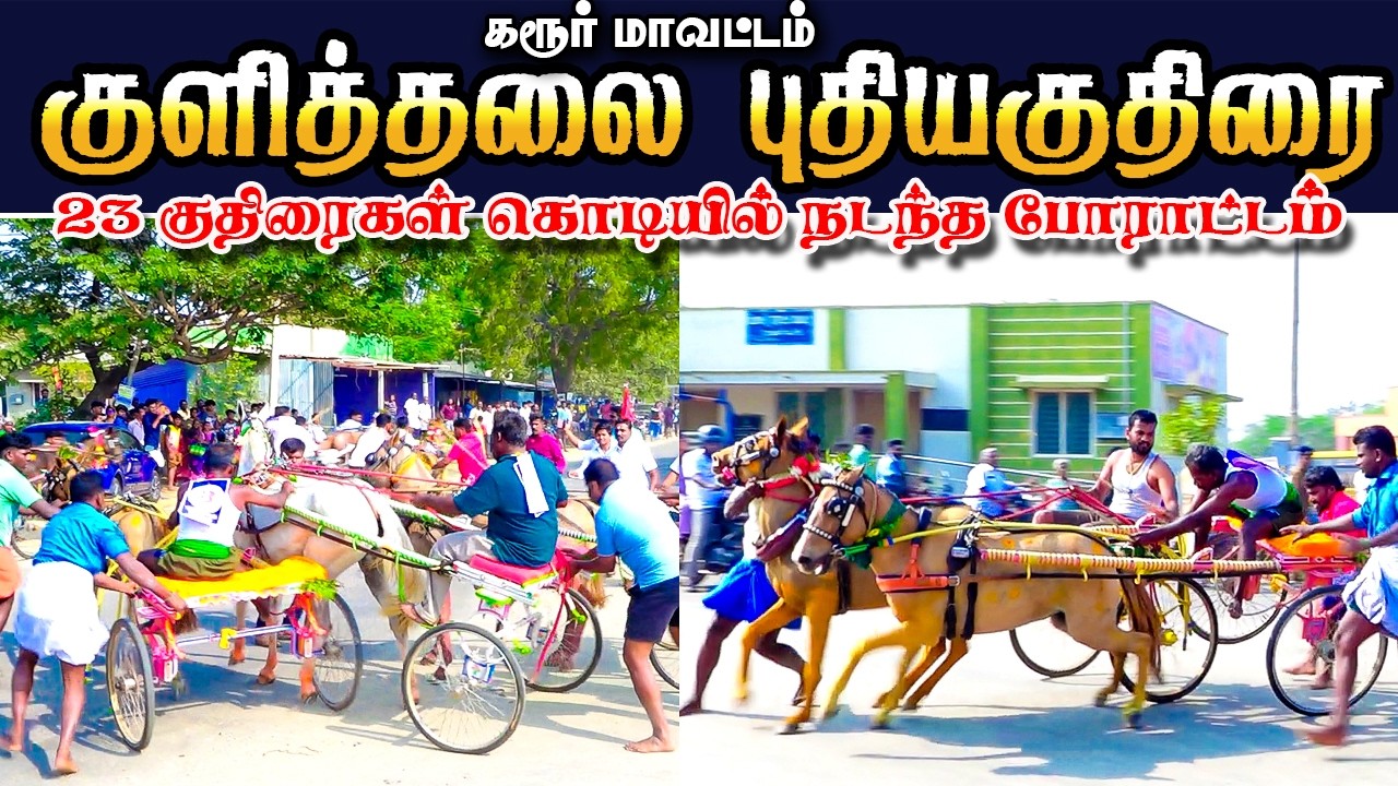 குளித்தலை குட்டப்பட்டி புதிய குதிரை 08/02/2026 #ksk_rekla_race