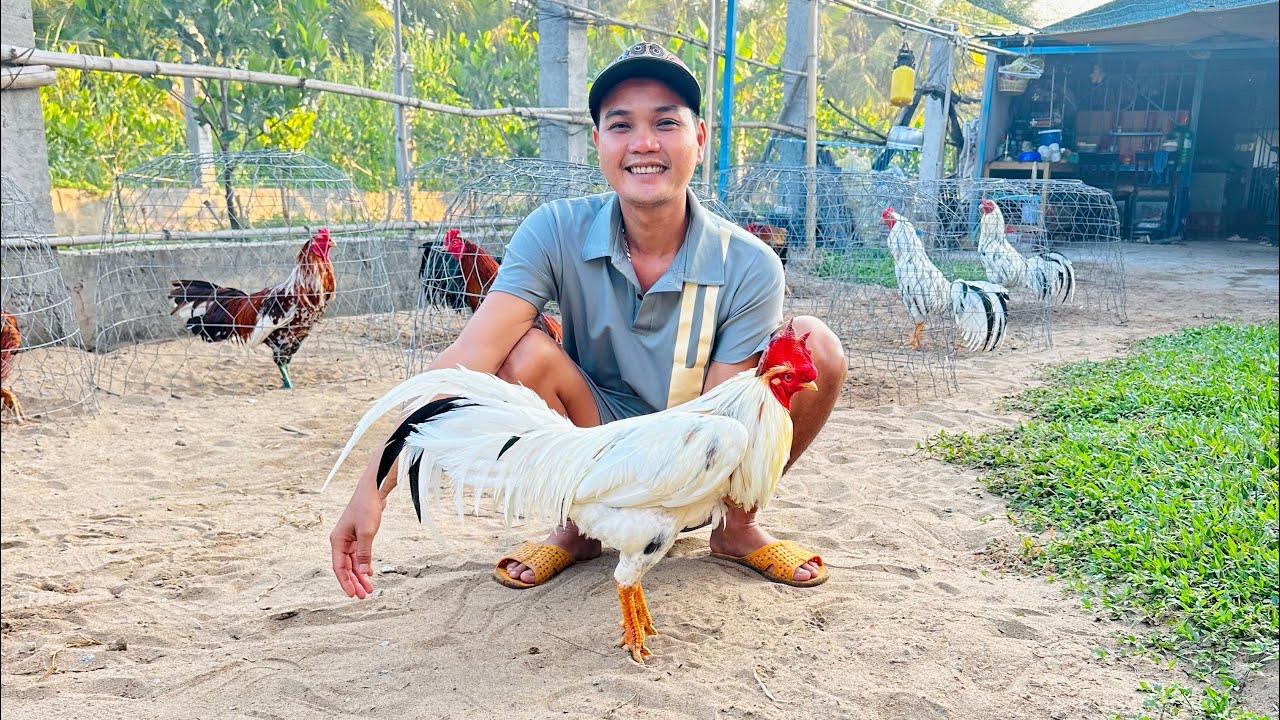 L&ecirc;n Tốp 🐓 Mới Phục Vụ Ae Nhảy💃 M&uacute;a 🕺 Ae Xem Clip Vv