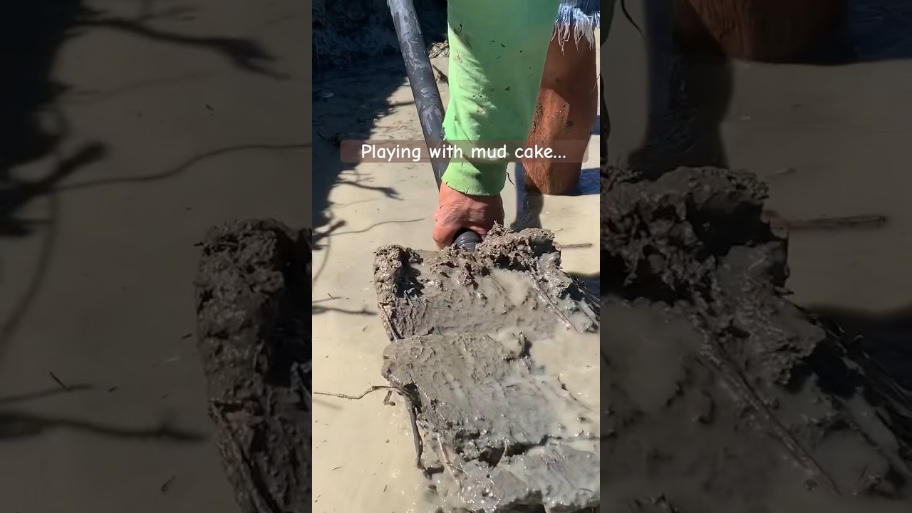 Dip into the mud to make a pond! #pondmaking #diypond #fishpond #farmimprovements