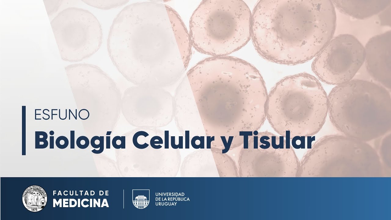 Excitabilidad (Parte 4) - Biología Celular y Tisular