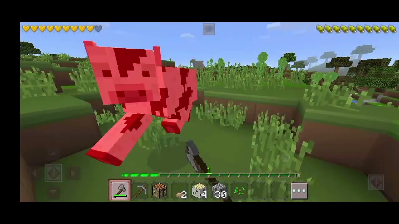 Hello guys Hassaan,s hear with Gameplay video mini craft#1