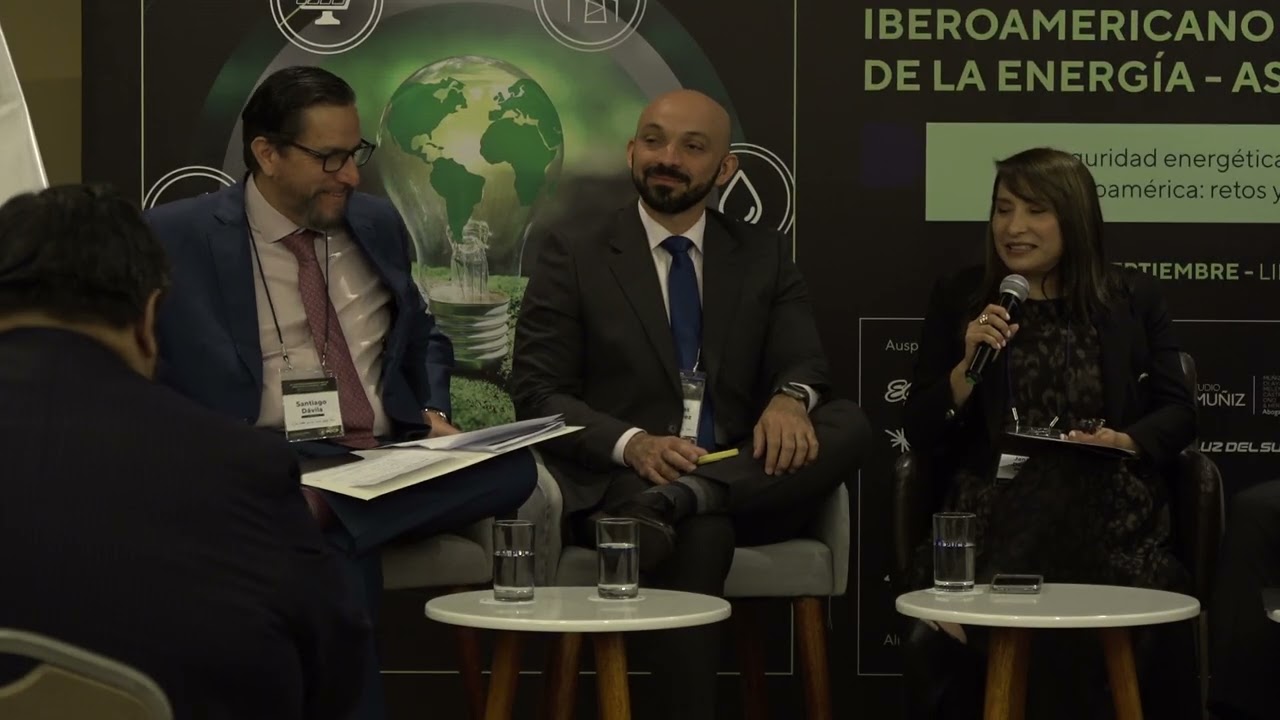 Congreso ASIDE 2025 | Lima, Perú - Panel 2