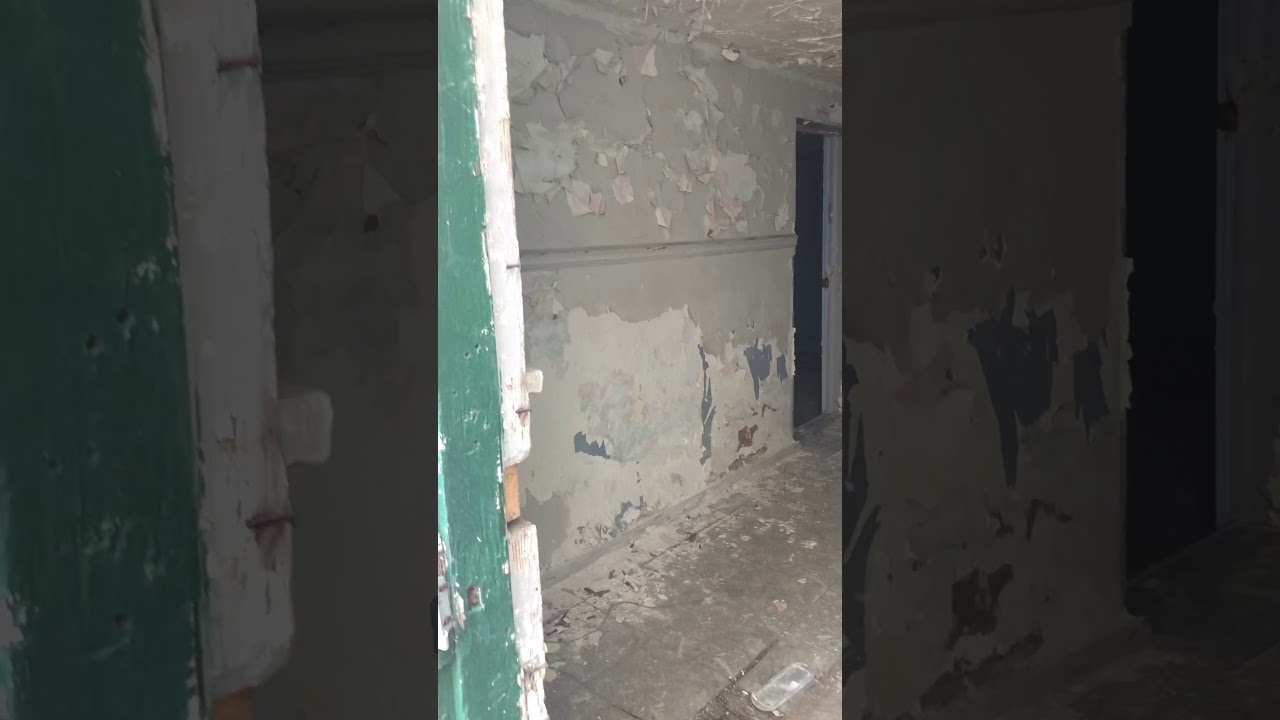 Video #1 exploring The Estate of Dr. Hicks at 8601 Dixie Highway