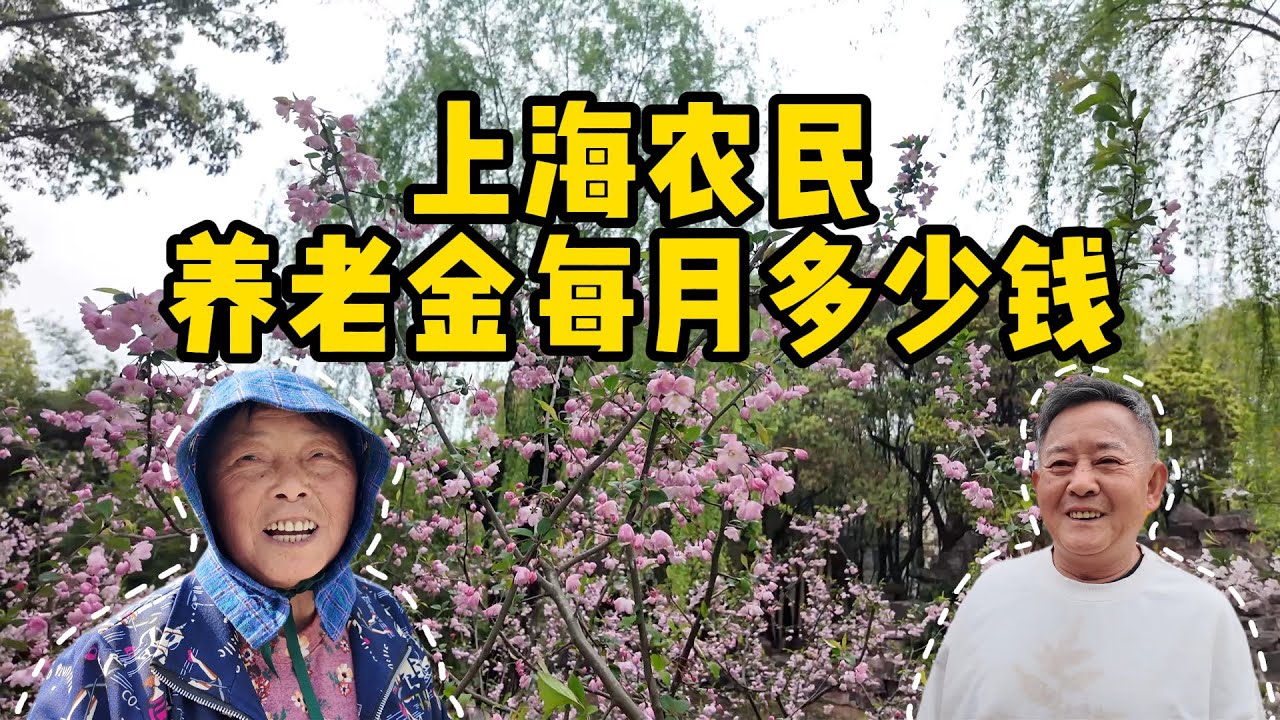 有人摆摊补贴家用，有人每月仅拿100多元！养老金差距惊人！街头采访6位上海郊区的退休老人现状，上海市区和郊区老人的晚年生活有多不同？ Shanghai Surburb retirement