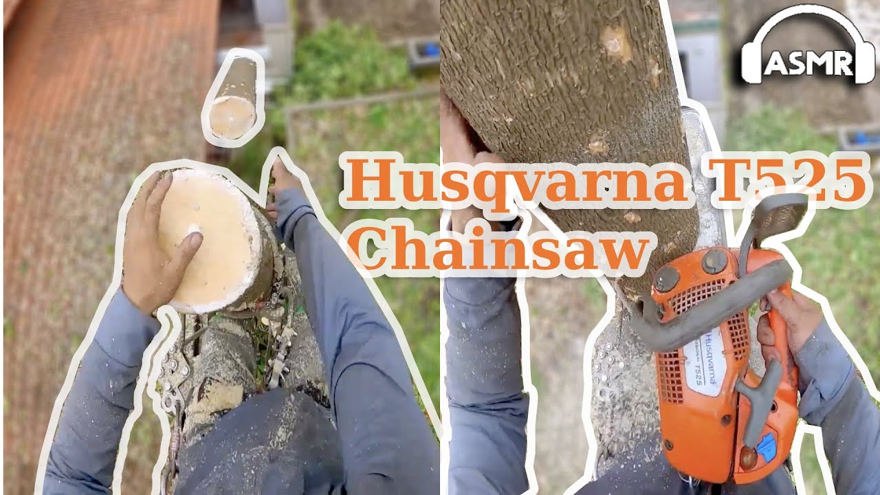 POV Tree Cutting | Husqvarna t525 Chainsaw Runs Out of Fuel ASMR
