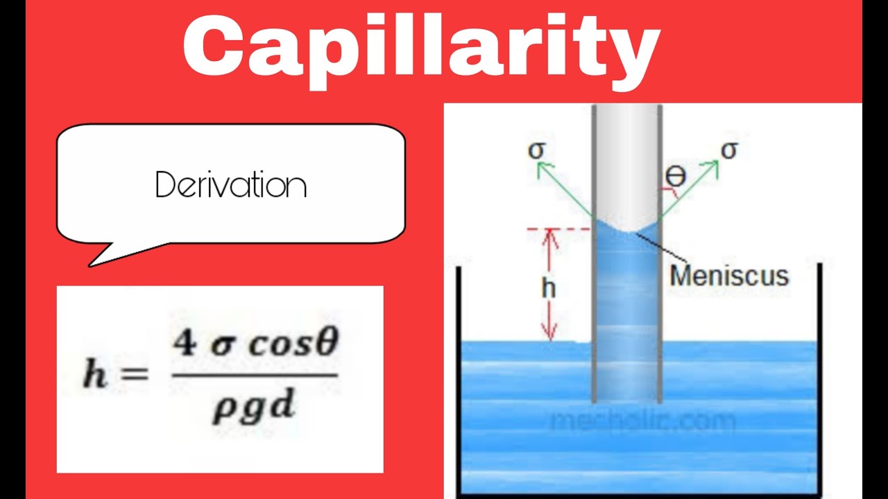 Capillarity and derivation for capillary rise and capillary depression