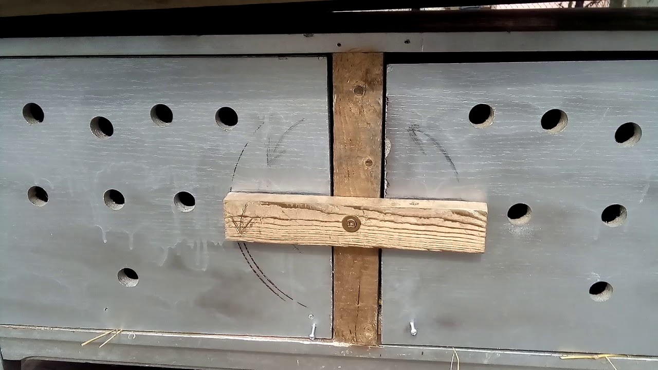 Nyulak bemutat&aacute;sa