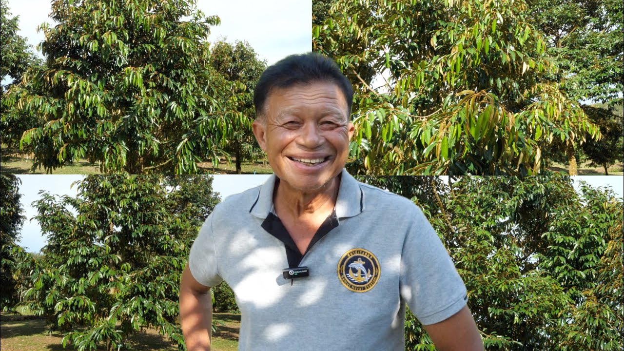 สำหรับใครที่มืด 8 ด่านกับการทำทุเรียน (ดูคลิปนี้แล้วคุณจะพบเจอกับแสงสว่างที่สวยงาม)