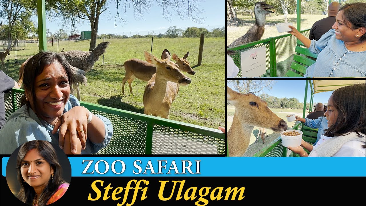 Zoo Safari Vlog in Tamil | Feeding Deer and Ostrich | Steffi Ulagam