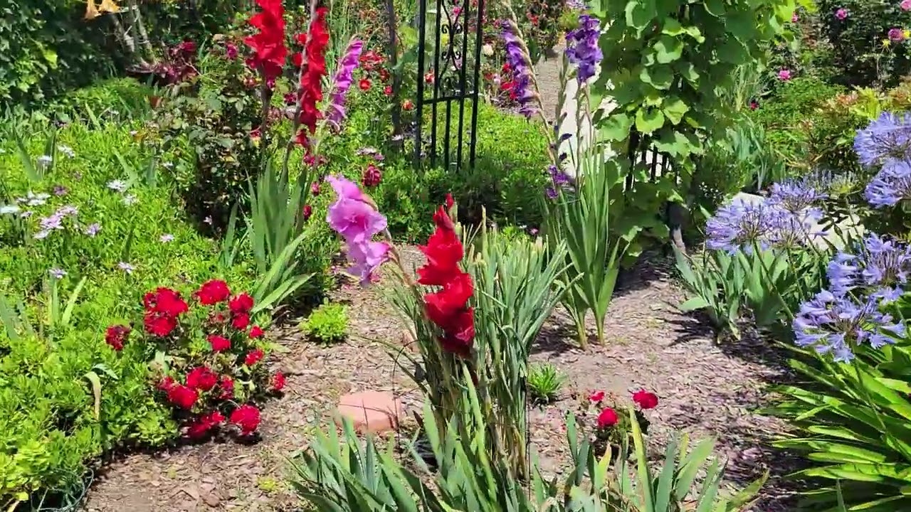 Gohar's Garden June 2024