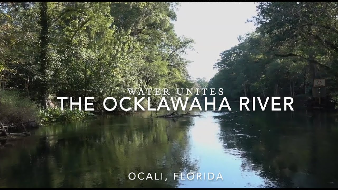 Ocklawaha River Journey