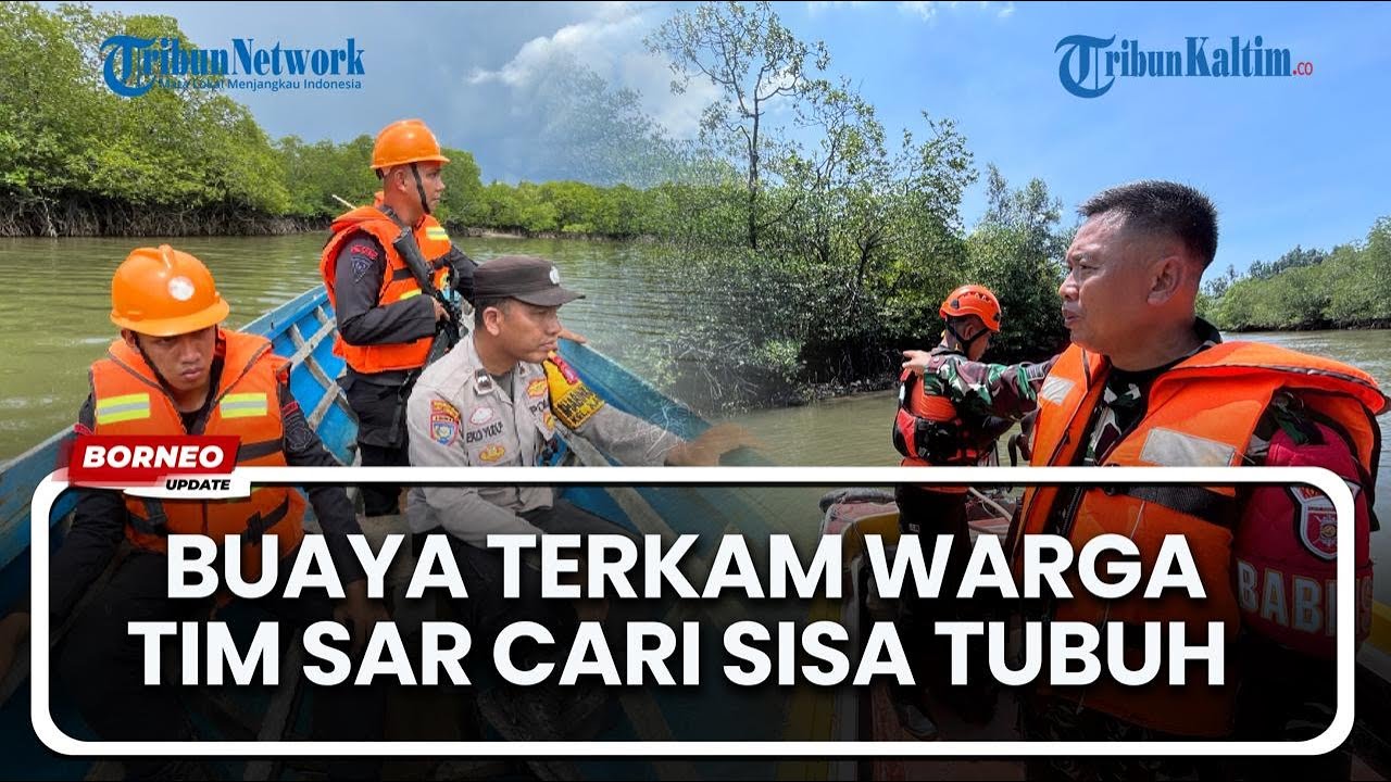 &lrm;Pemancing Diterkam Buaya di Sungai Kariangau, Tim SAR Balikpapan Lakukan Pencarian