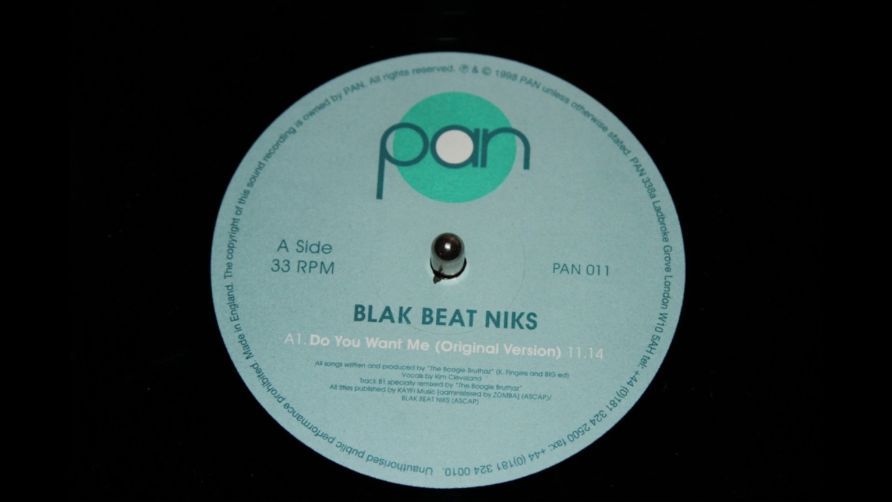 Blak Beat Niks - Do You Want Me (Original Mix)