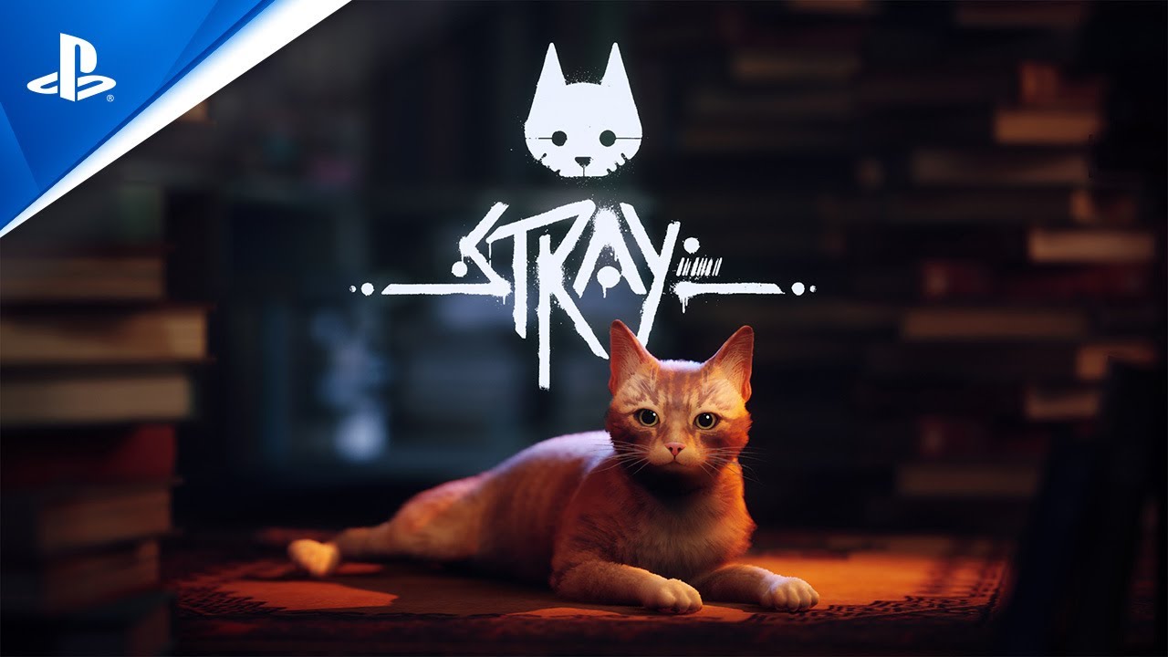 Stray | State of Play June 2022 Trailer (4K) | PS5, PS4