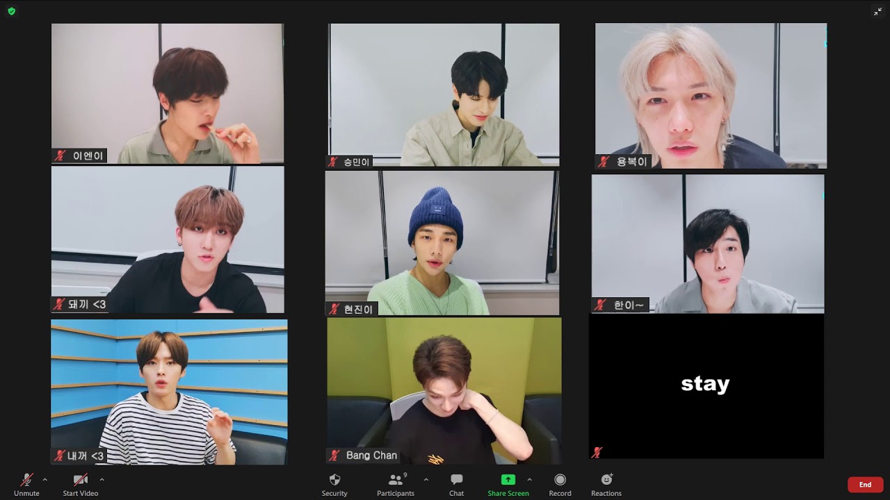 an hour zoom meeting with stray kids | study with skz