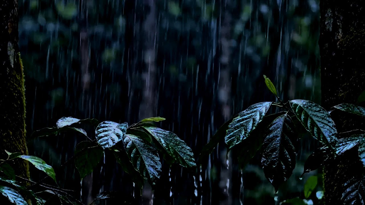 🌙 Heavy Rainfall in a Dark Forest — Calm Sleep Ambience & Anxiety Relief Rain Sounds 💧