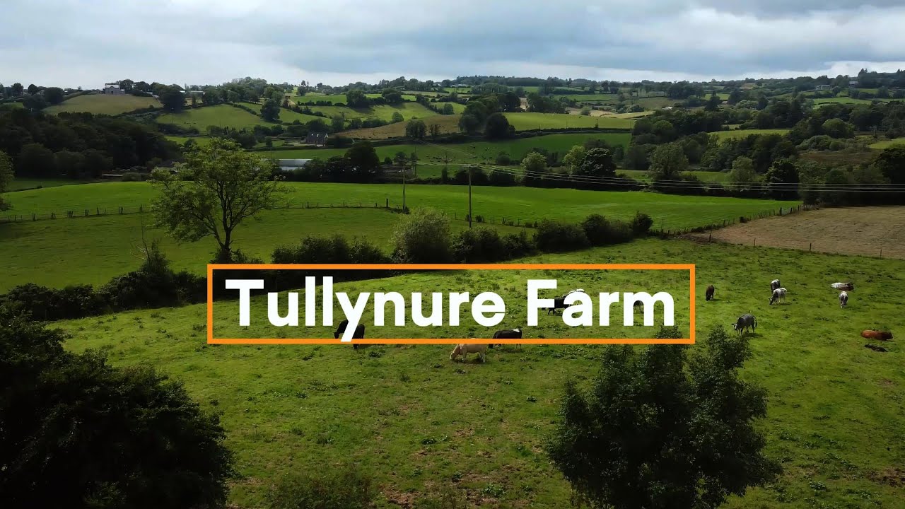 Tullynure Farm