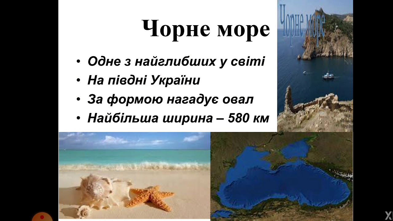 Природознавство (4 клас). Чорне море  Рослинний і тваринний світ Чорного моря