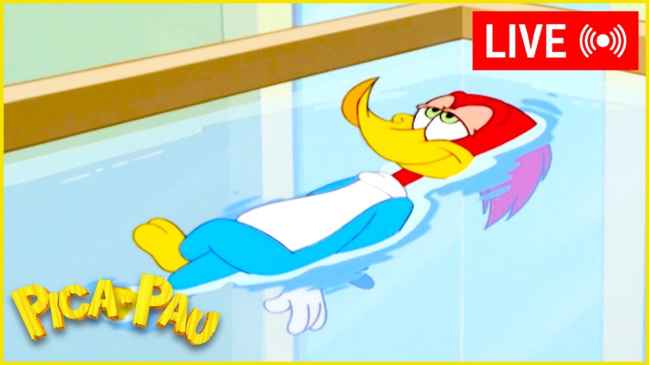 LIVE 🔴 Pica-Pau derretendo com o calor 🧊🍦 Pica-Pau em Português 📺 Maratona de Episódios